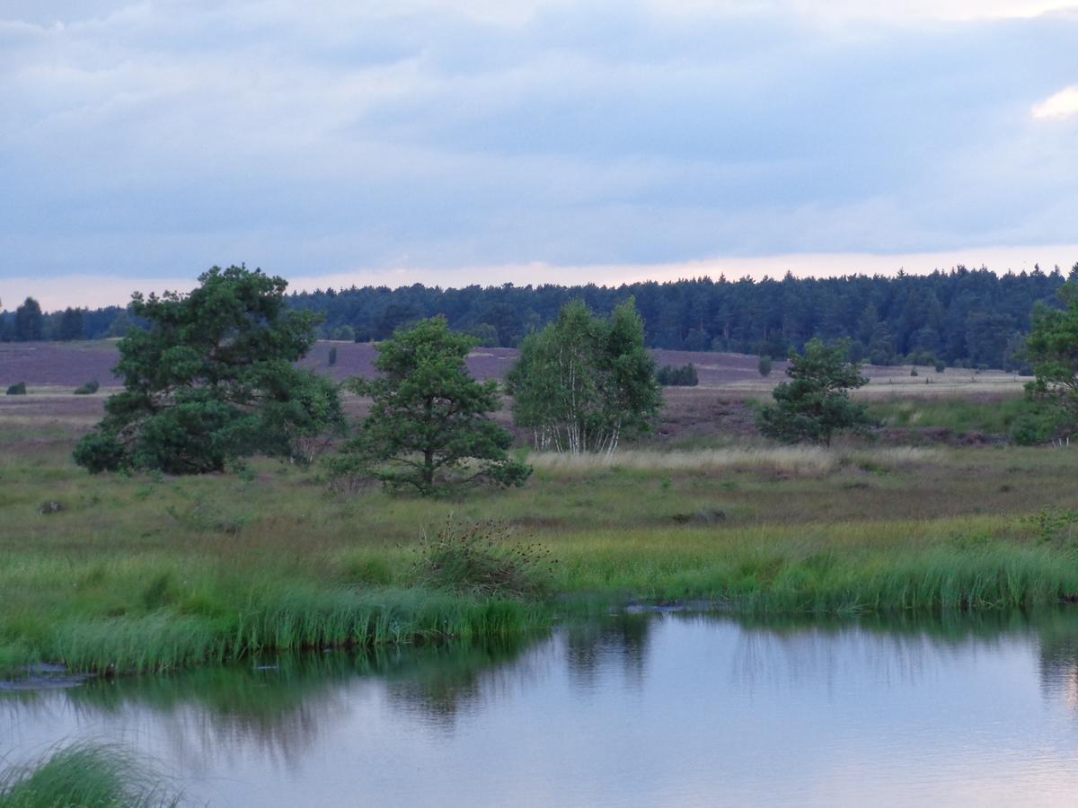 Landgasthaus Zum Naturschutzpark Bispingen Bagian luar foto