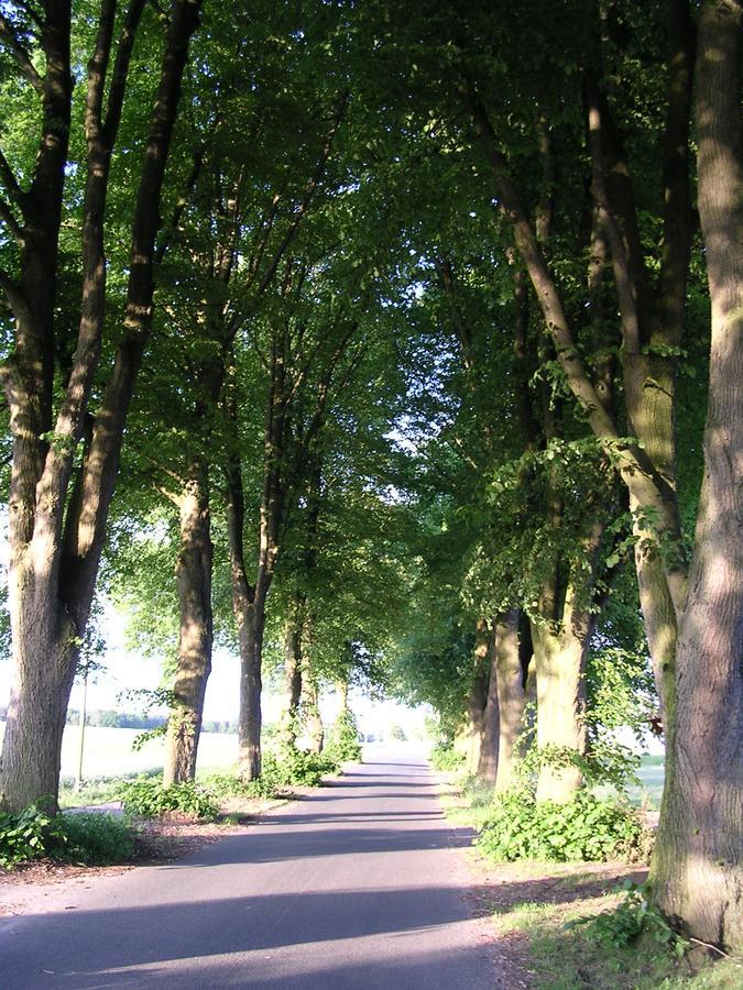 Landgasthaus Zum Naturschutzpark Bispingen Bagian luar foto